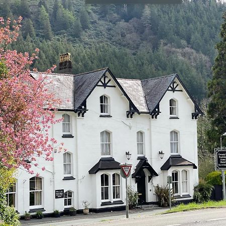 Hotel The Buckley Arms Dinas Mawddwy Exterior foto