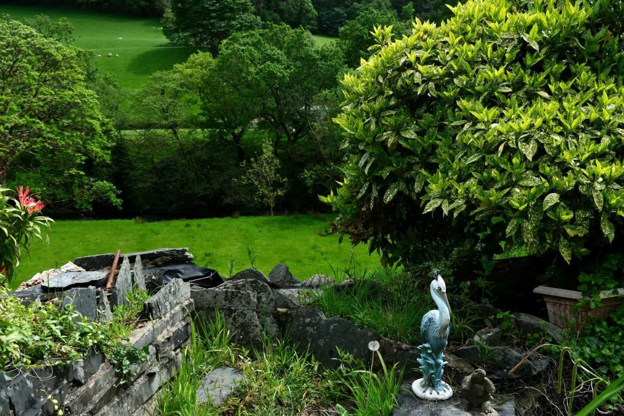 Hotel The Buckley Arms Dinas Mawddwy Exterior foto
